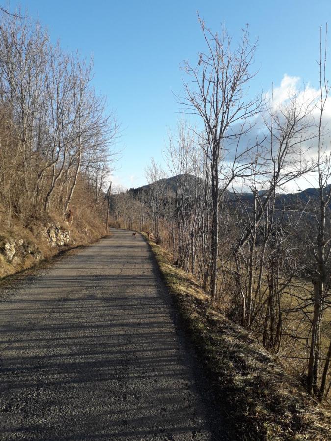 mon ecrin de nature rez de villa ensoleillé Seyne Esterno foto