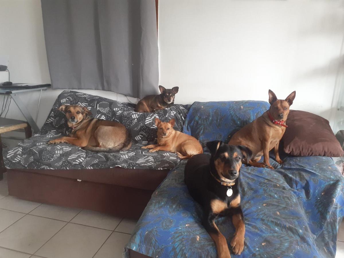 mon ecrin de nature rez de villa ensoleillé Seyne Esterno foto